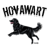 Hovawart VI