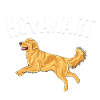Hovawart III