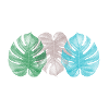 MonStera naturecontest