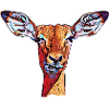 ℜ𝔢𝔥