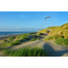 North Sea dunes