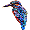 Kingfisher