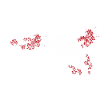 The-is-our-planet-bee in white