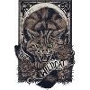 Wildcat