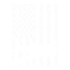 American Aviation Flag