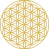 Circles flowers sacred geometry