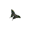 Butterfly forest