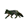 Fuchs Wald