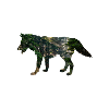Wolf Wald