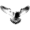 bianco e nero