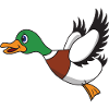 Flying duck