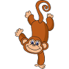 monkey