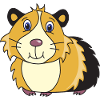 Guinea pig