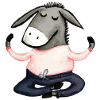 Yoga Donkey