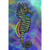 hippocampe