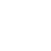 crazy dog lady