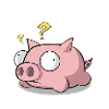 Pig piglets