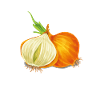 L'oignon