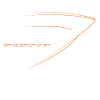 Space Shuttle (Orange print)