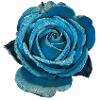 Rose Hellblau