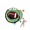 rugby