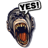 YES! Primate Monkey Chimpanzee