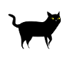 Chat noir avec malchance