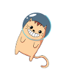 Cat - Outer Space - Kitten - Outer Space