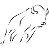 Bison - black