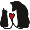 Dog & cat
