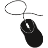 computer mouse