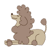 poodle