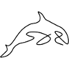 Orca