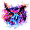 gxp owl purple blue perfect