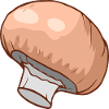 Champignons Egerlinge Angerlinge champignons