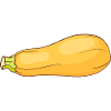Zucchini zucchinis summer squash