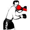 Boxer direct hit