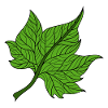 green leaf