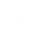 Grilling Barbecue