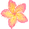 Flowers pattern