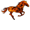 Cheval de cheval