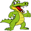 Crocodile caiman reptiles animals