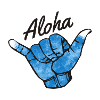 Aloha | Windsurfers & Surfers Surf Design