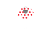 Tour-de-France, King of the Mountains