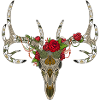 Los Muertos deer