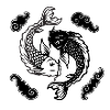 Koi Yin Yang Spirit