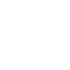 PUISSANCE DIESEL