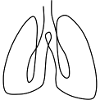 lung