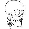 skull