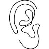 ear
